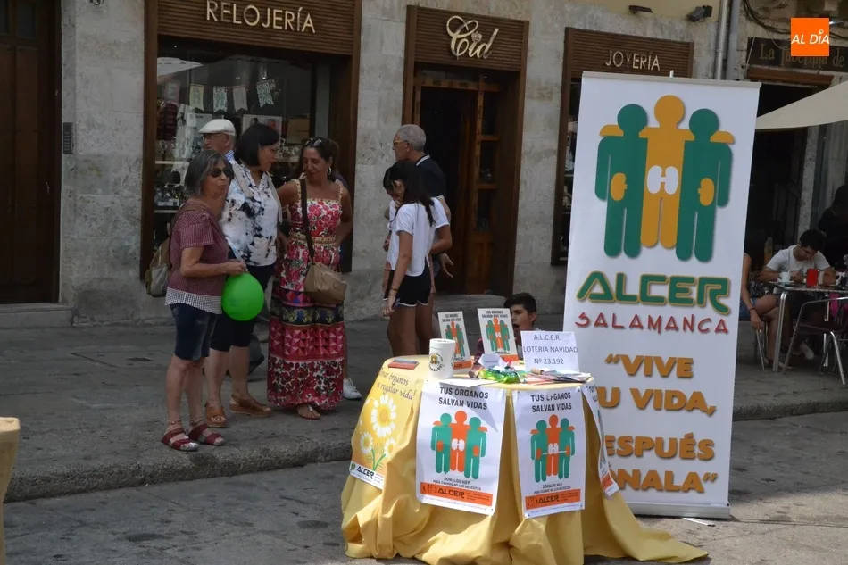 Foto 4 - D&iacute;as de Feria: Artesan&iacute;a en plena calle  