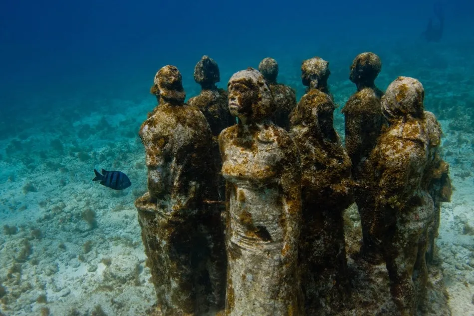 Foto 6 - Un museo salmantino, entre los 10 m&aacute;s curiosos del mundo
