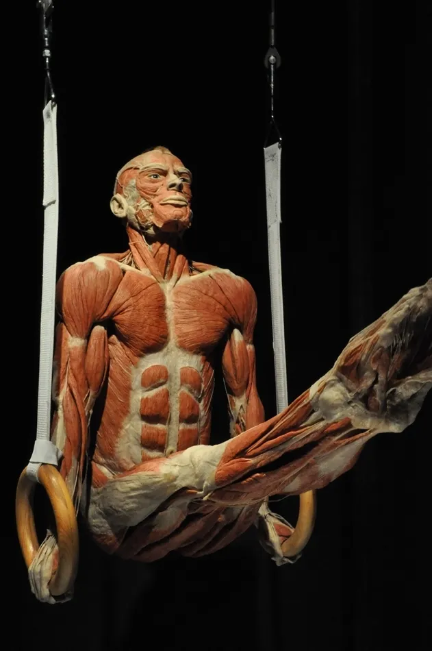 Foto 2 - Un museo salmantino, entre los 10 m&aacute;s curiosos del mundo