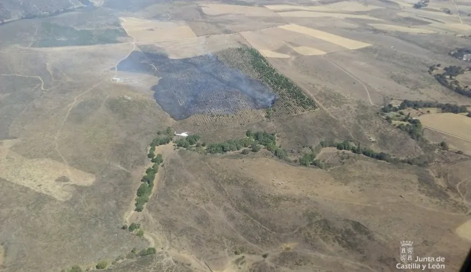 Foto 3 - Saelices El Chico y El Payo sufren sendos incendios forestales  