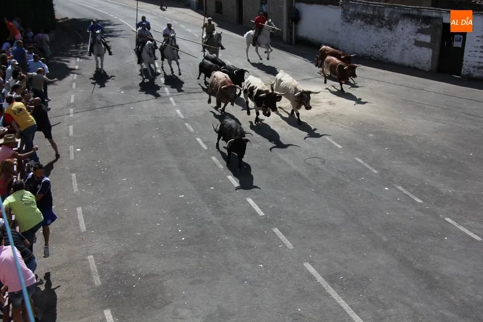 Foto 11 - Bonito, r&aacute;pido y sin incidentes el encierro a caballo en Villavieja de Yeltes  