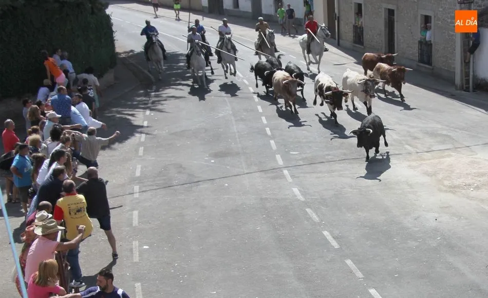 Foto 9 - Bonito, r&aacute;pido y sin incidentes el encierro a caballo en Villavieja de Yeltes  