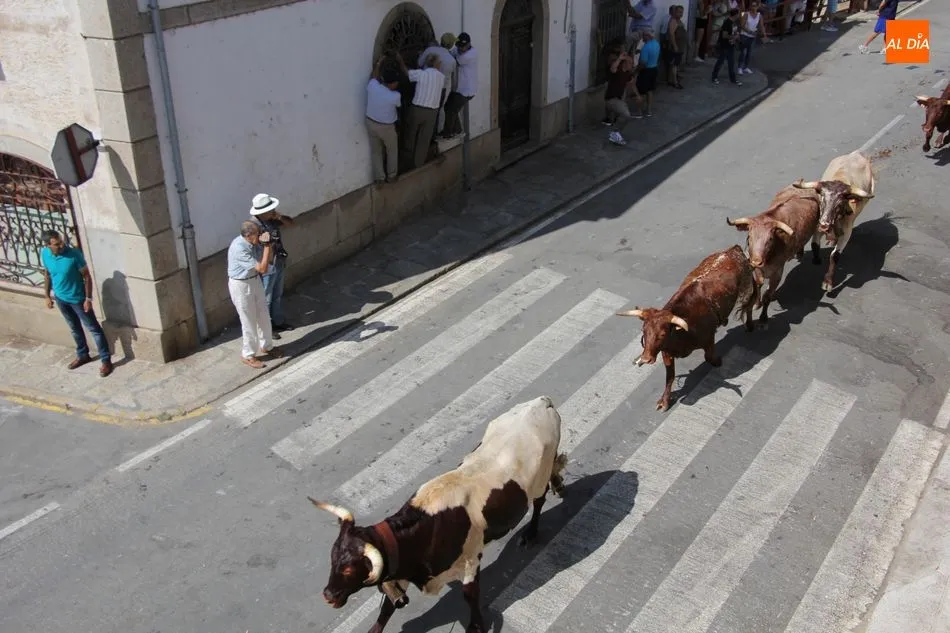 Foto 5 - Bonito, r&aacute;pido y sin incidentes el encierro a caballo en Villavieja de Yeltes  