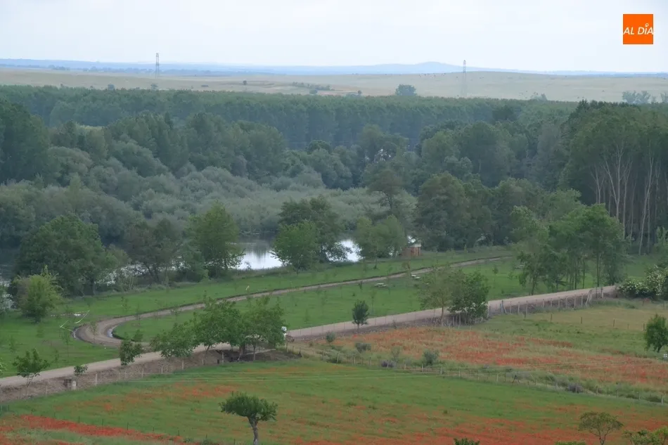 Foto 2 - Ciudad Rodrigo es la 2&ordf; gran localidad de Castilla y Le&oacute;n con m&aacute;s zonas verdes  