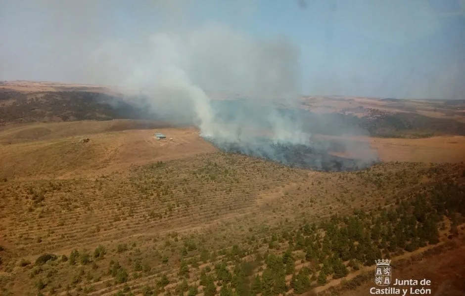 El incendio que sufrió el miércoles Saelices El Chico fue intencionado  