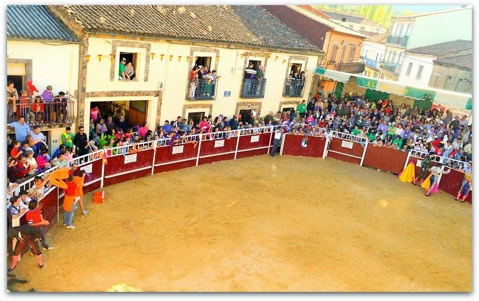 Foto 2 - A pleno sol