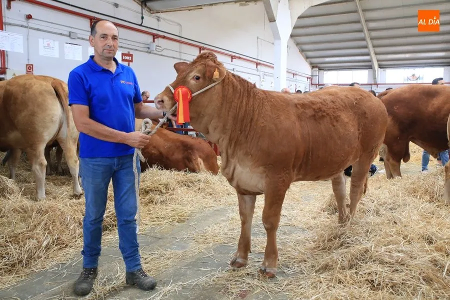 Foto 8 - &lsquo;Lidl&rsquo; y &lsquo;Mariscal&rsquo;, campe&oacute;n adulto y joven del concurso de la raza limusina&nbsp;