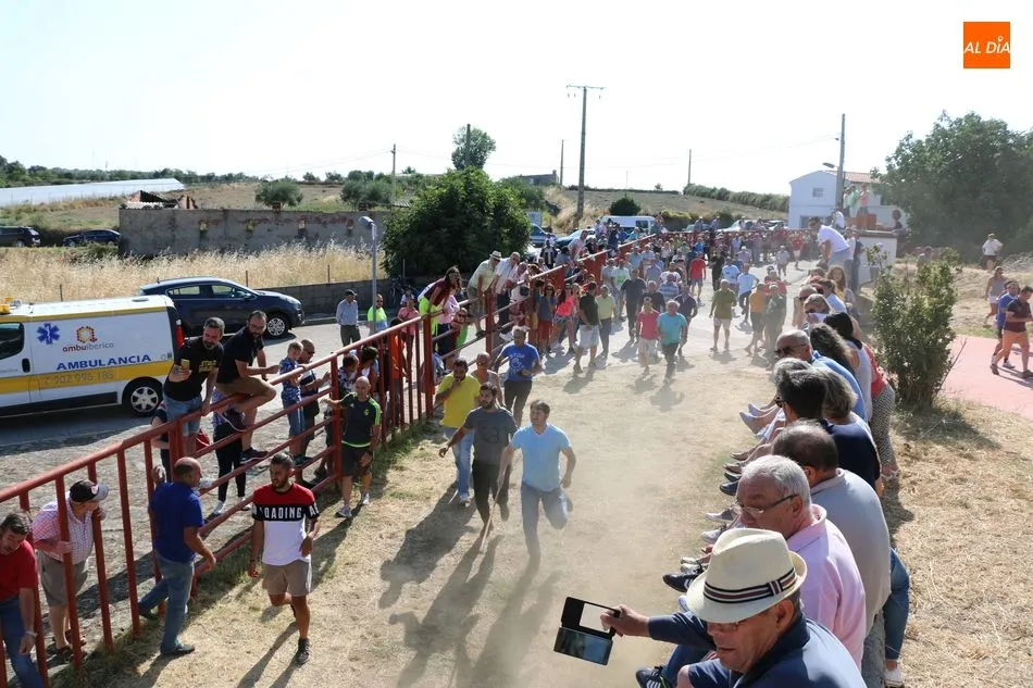Foto 11 - Emocionante encierro de Valrubio en las fiestas de Pere&ntilde;a de la Ribera  