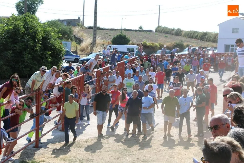 Foto 7 - Emocionante encierro de Valrubio en las fiestas de Pere&ntilde;a de la Ribera  