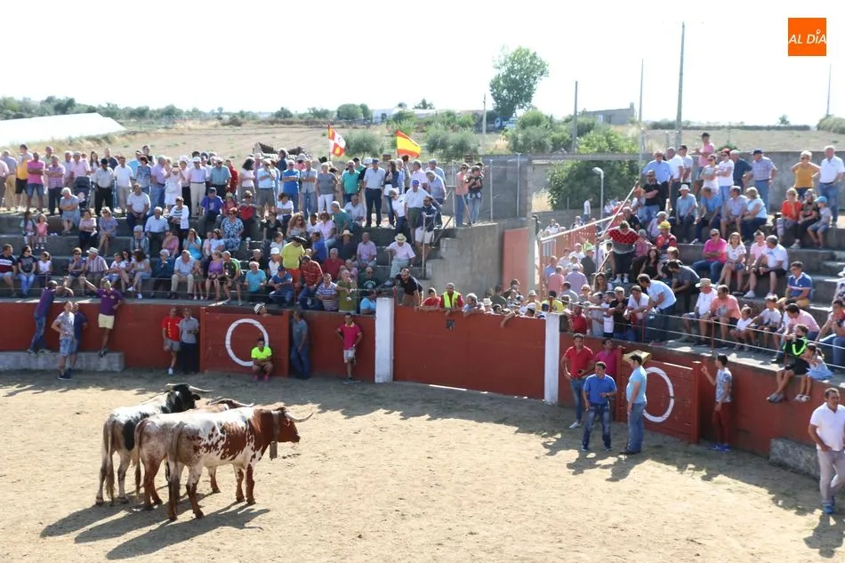 Foto 6 - Emocionante encierro de Valrubio en las fiestas de Pere&ntilde;a de la Ribera  