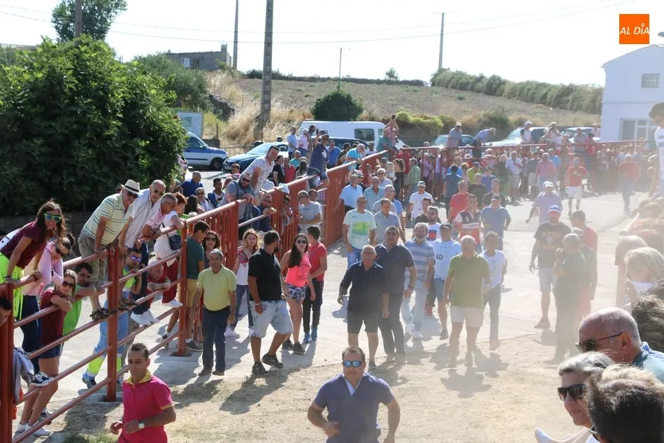 Foto 5 - Emocionante encierro de Valrubio en las fiestas de Pere&ntilde;a de la Ribera  