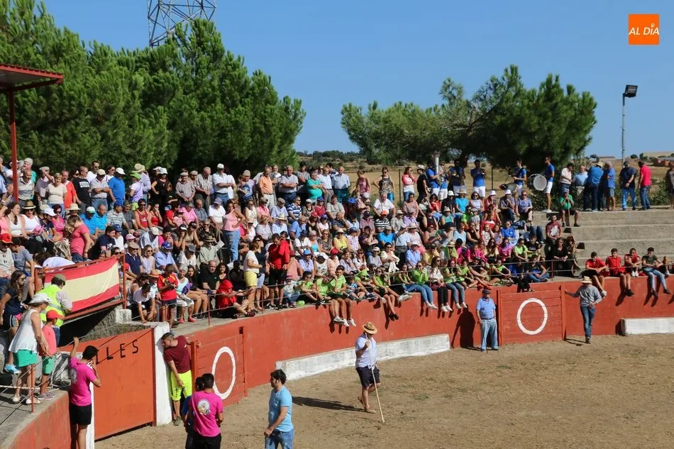 Foto 3 - Emocionante encierro de Valrubio en las fiestas de Pere&ntilde;a de la Ribera  