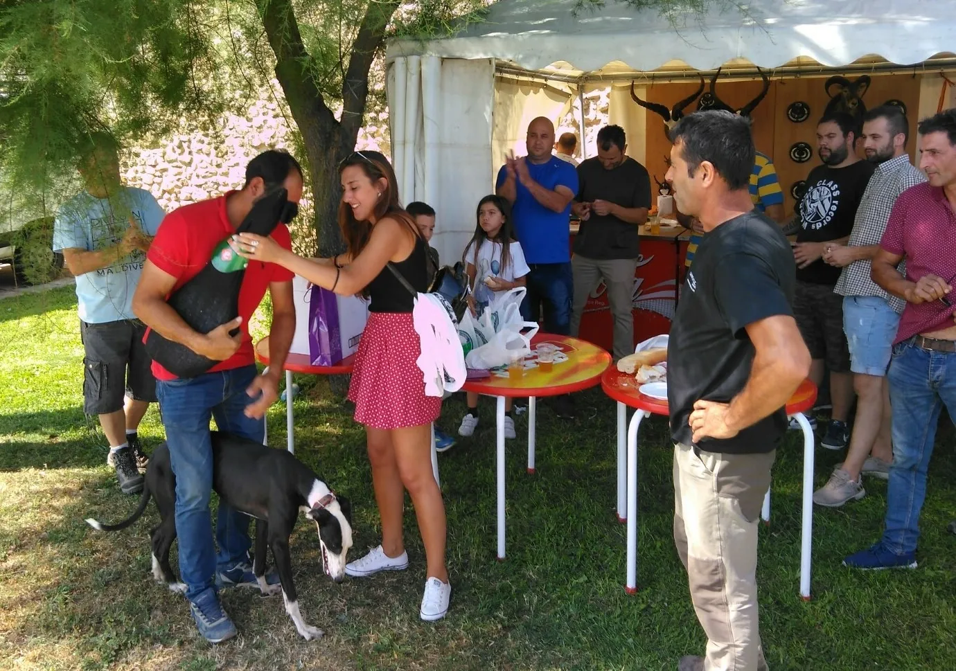 Foto 5 - Los perros de caza demuestran su habilidad en el agua en el Canal de La Concha  