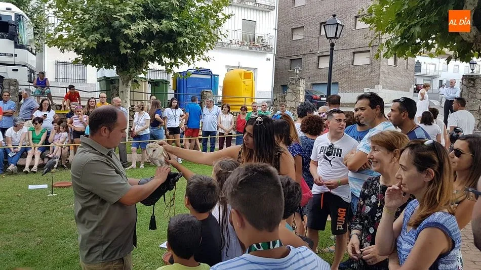 Foto 8 - Una entretenida exhibici&oacute;n de aves rapaces despide los festejos