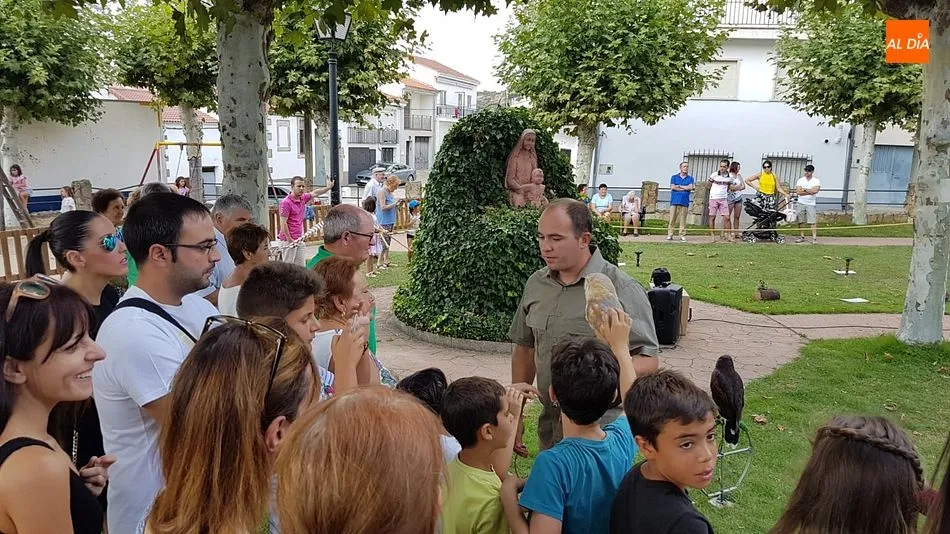 Foto 5 - Una entretenida exhibici&oacute;n de aves rapaces despide los festejos