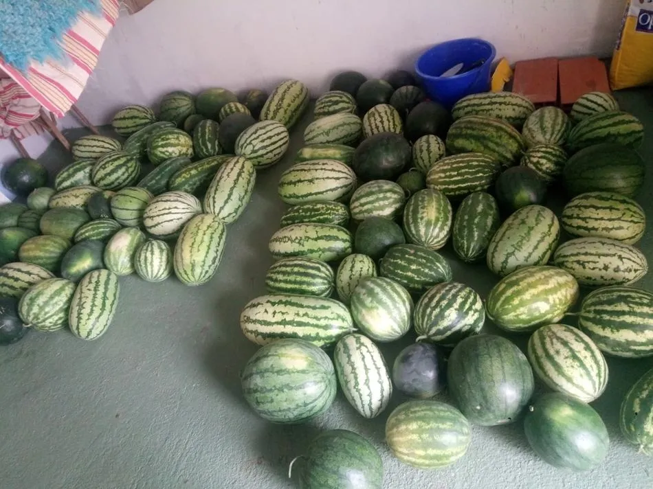 Foto 5 - Andr&eacute;s Jos&eacute; Calder&oacute;n vuelve a sorprender con sus sand&iacute;as gigantes en Guadramiro, pese al...