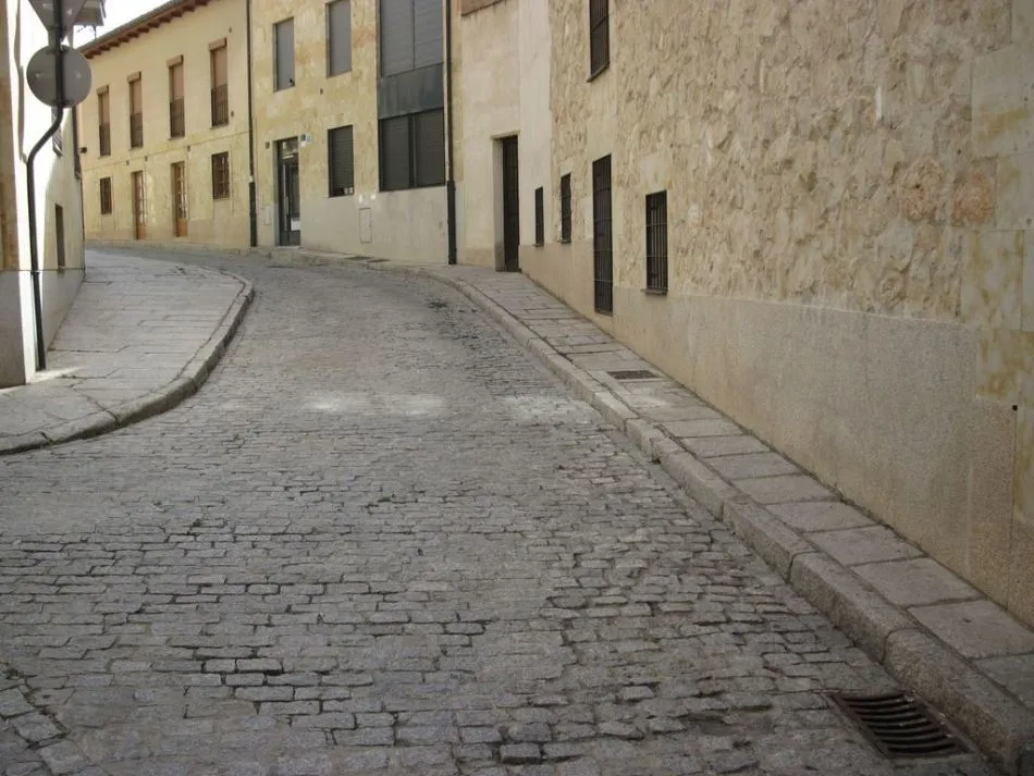 Foto 5 - Solicitan la reforma del enlosado de varias calles peatonales por su deterioro