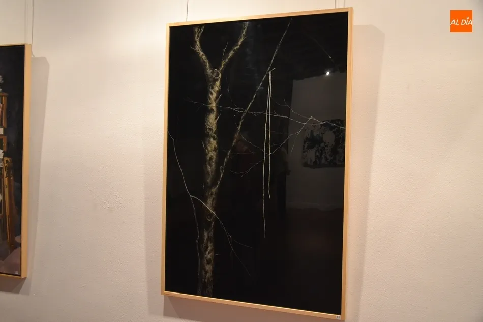 Foto 3 - Los 3.000&euro; del Certamen de Artes Pl&aacute;sticas &lsquo;Celso Lagar&rsquo; se marchan a Lleida  