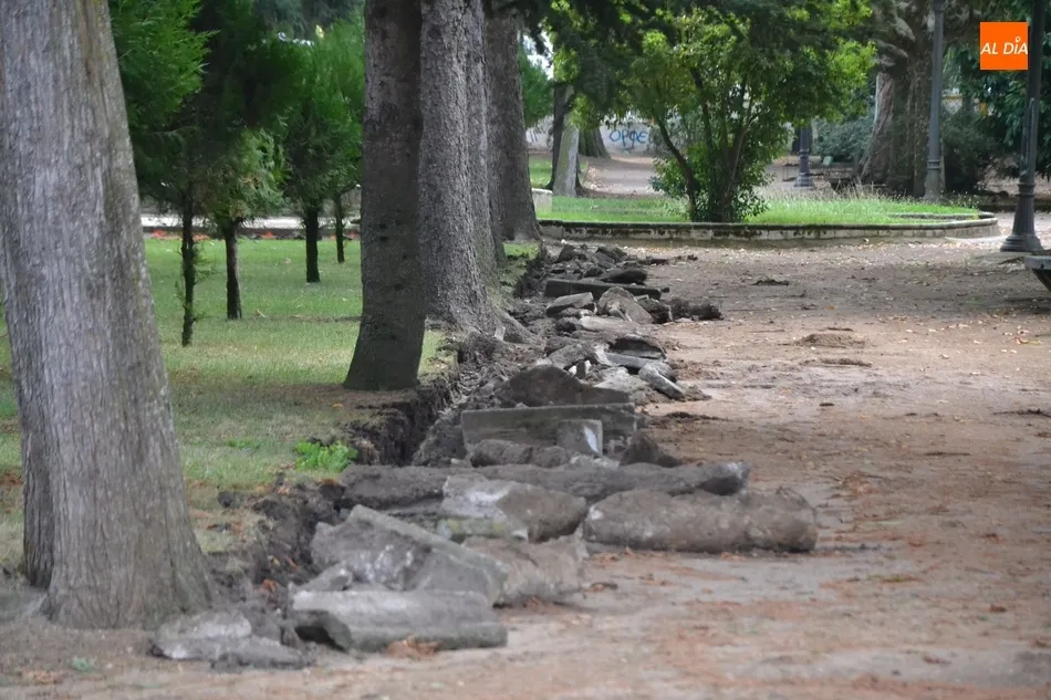Foto 10 - Arranca la remodelaci&oacute;n integral del emblem&aacute;tico Parque de La Florida  