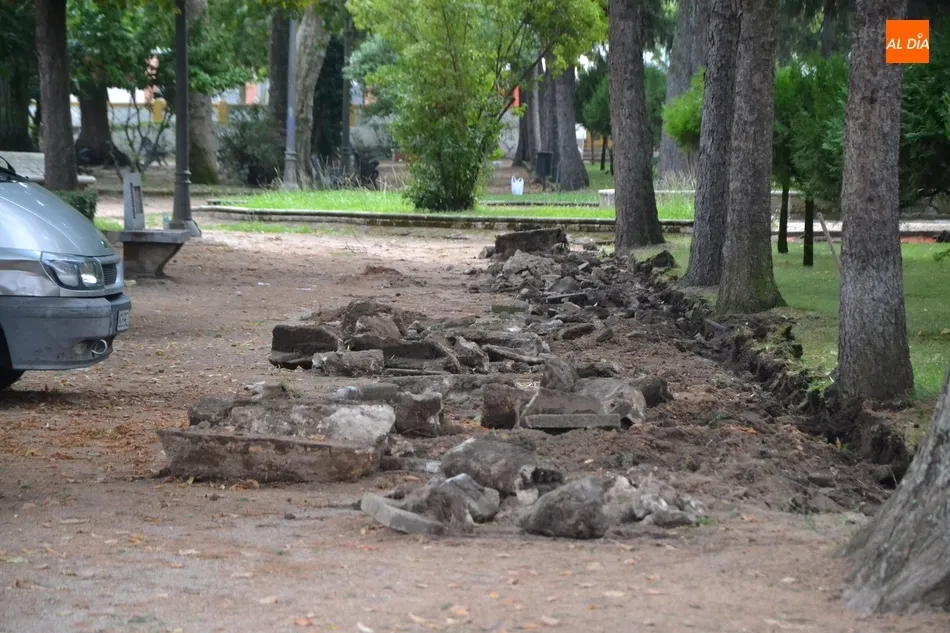 Foto 9 - Arranca la remodelaci&oacute;n integral del emblem&aacute;tico Parque de La Florida  