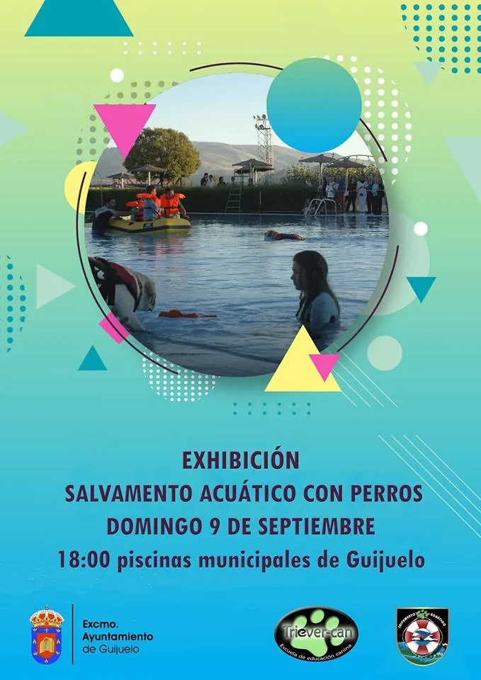 Foto 2 - La piscina municipal cierra la temporada con una exhibici&oacute;n canina