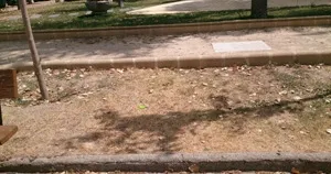 Foto 4 - El Grupo Popular denuncia la &ldquo;imagen lamentable&rdquo; que presentan las zonas verdes de la ciudad