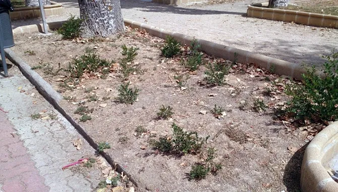 El Partido Popular denuncia la situación de las zonas verdes de la ciudad como el Parque Los Jardines