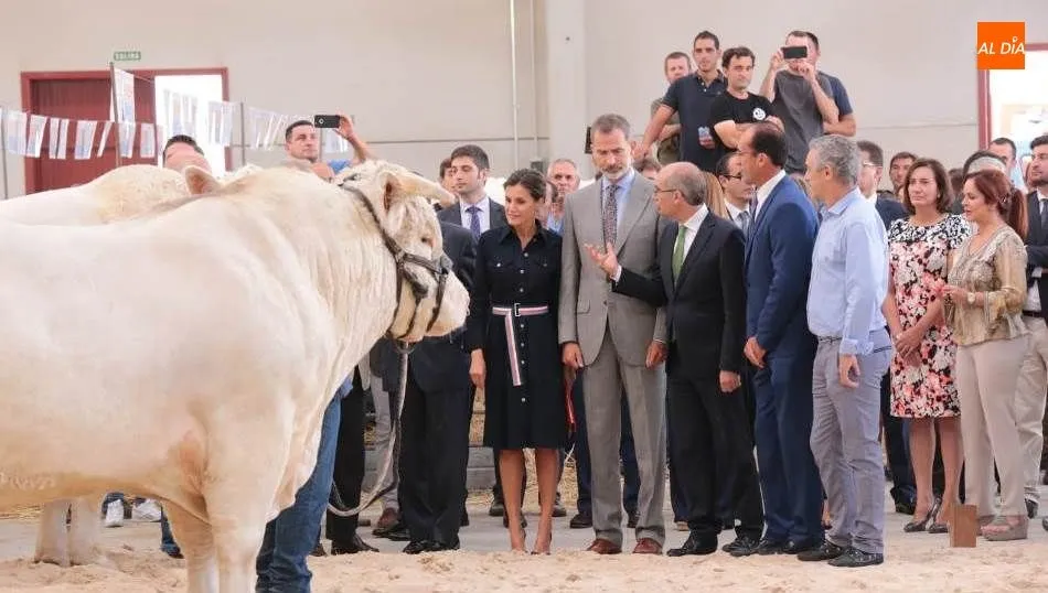 En la nave de ganado los Reyes pudieron apreciar dos ejemplares de charolés. Foto de Alberto Martín