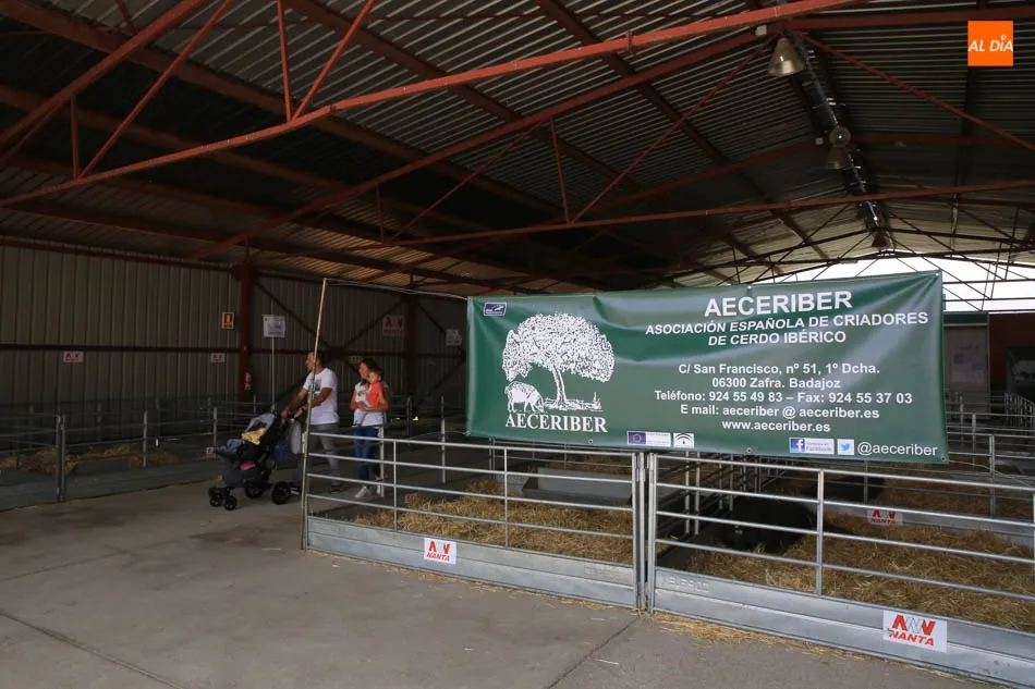 Foto 2 - Reparto de premios para las ganader&iacute;as de porcino ib&eacute;rico en el VII concurso morfol&oacute;gico  