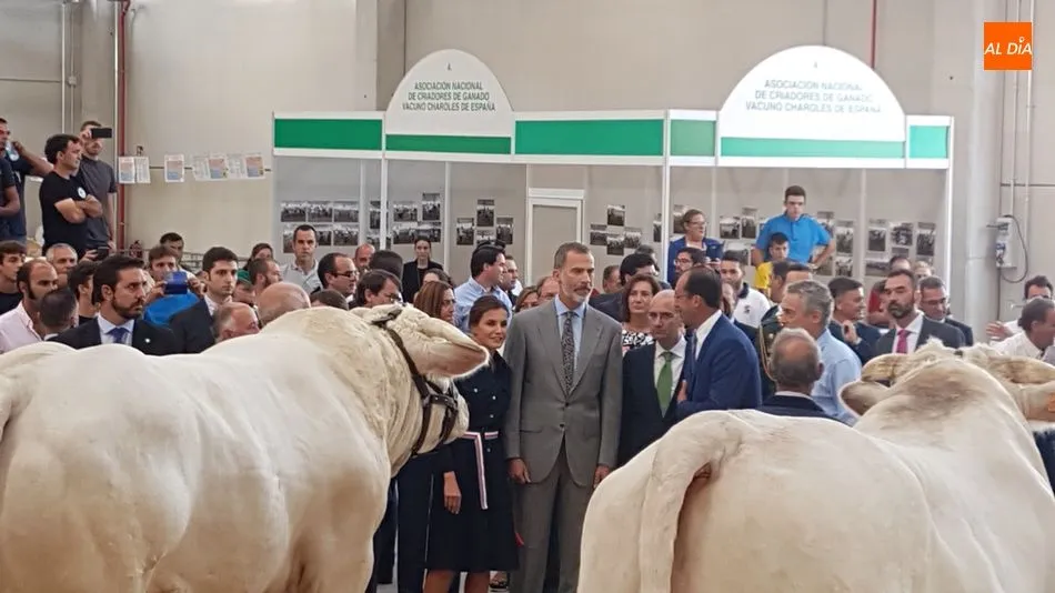 Alberto Martín, junto a los Reyes y el presidente de la Diputación. Fotos: Alberto Martín