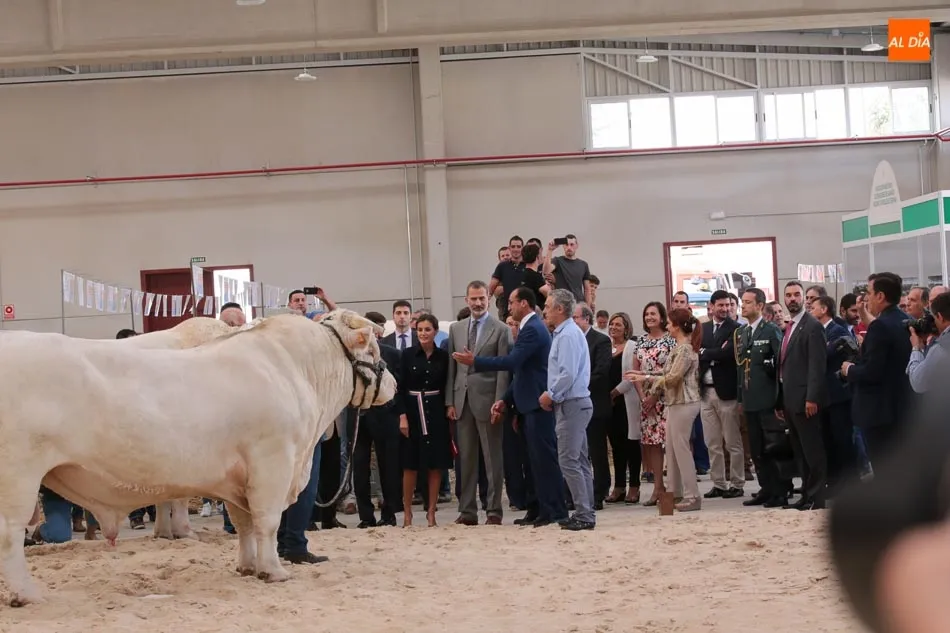 Foto 4 - El ganadero Alberto Mart&iacute;n Gallego, segundo encuentro con Don Felipe en cuatro a&ntilde;os