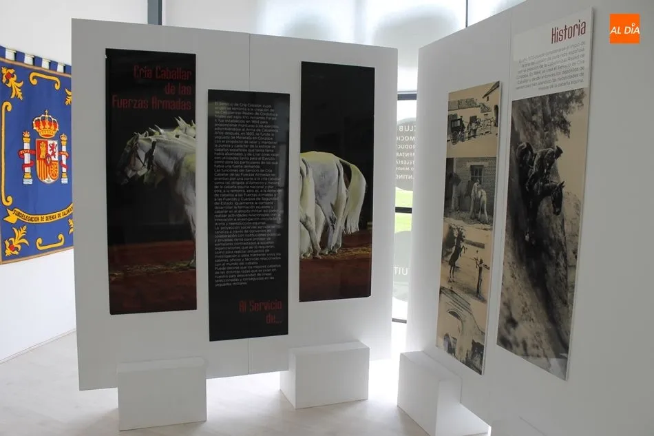 Foto 3 - Exhibici&oacute;n equina y canina a cargo del Centro Militar de Cr&iacute;a Caballar abulense