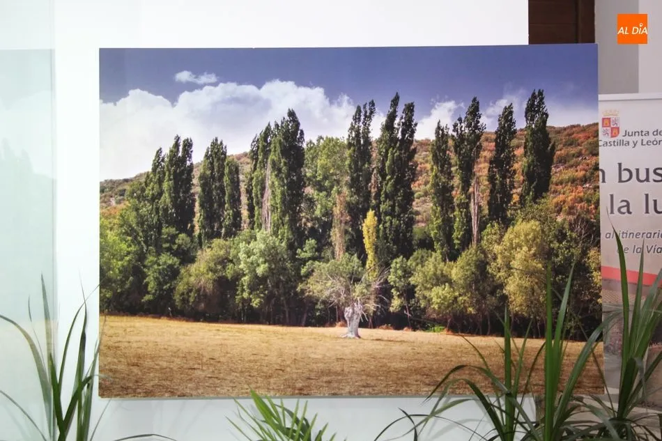 Foto 2 - &lsquo;En busca de la luz&rsquo;, un recorrido por el paisaje salmantino de la V&iacute;a de la Plata  