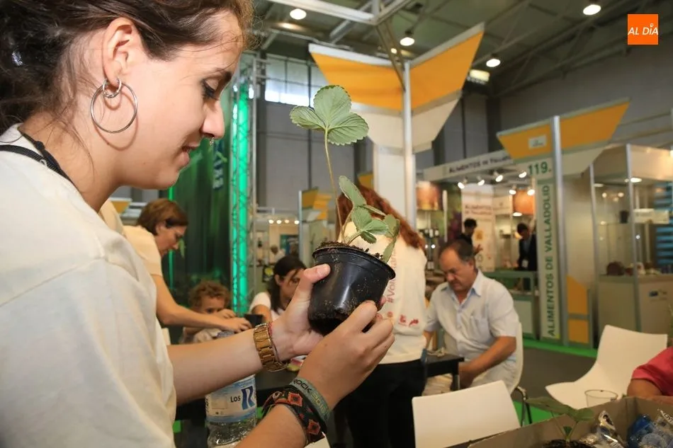 Foto 9 - Taller de reciclaje y huertos ecol&oacute;gicos con los voluntarios de la Oficina Verde la USAL