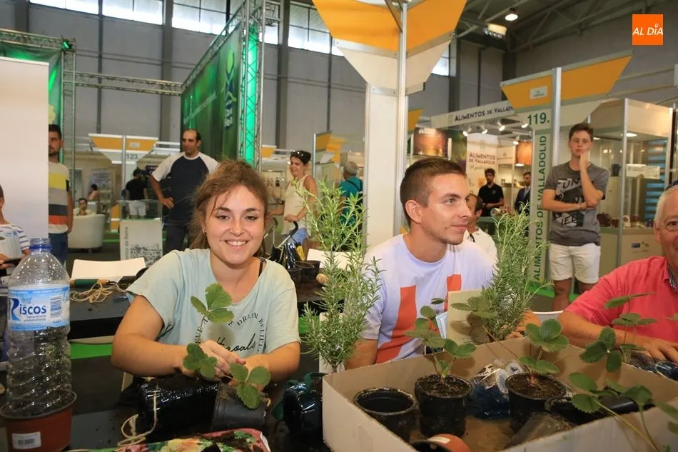 Foto 10 - Taller de reciclaje y huertos ecol&oacute;gicos con los voluntarios de la Oficina Verde la USAL