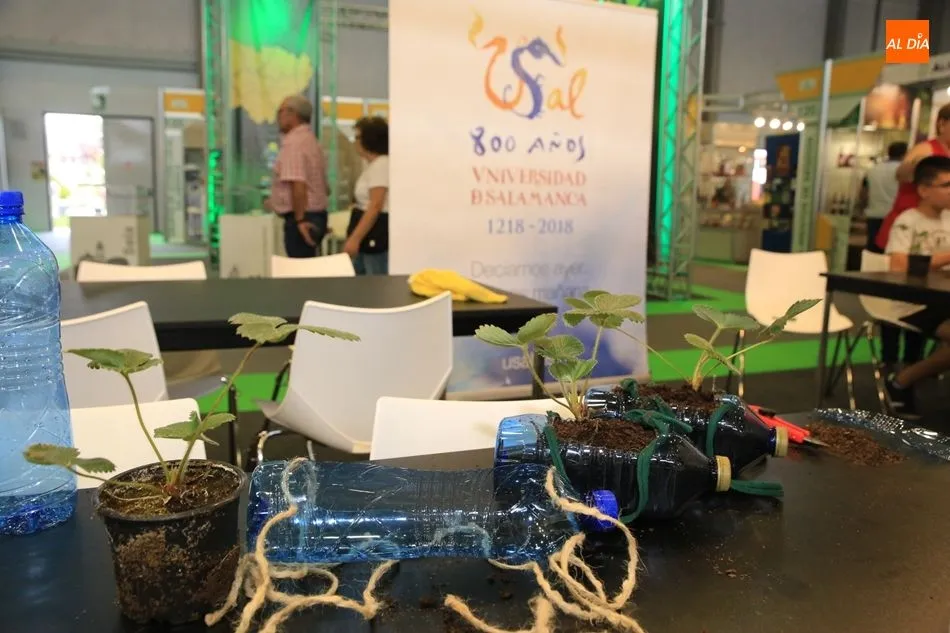 Foto 2 - Taller de reciclaje y huertos ecol&oacute;gicos con los voluntarios de la Oficina Verde la USAL