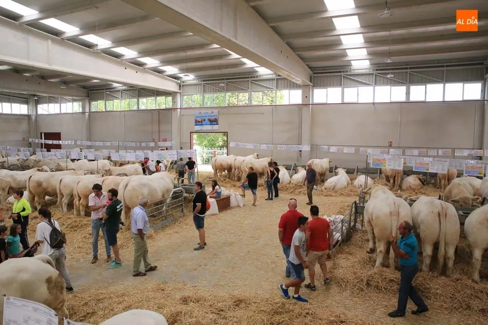 Foto 7 - La jornada inaugural de Salamaq18, en im&aacute;genes
