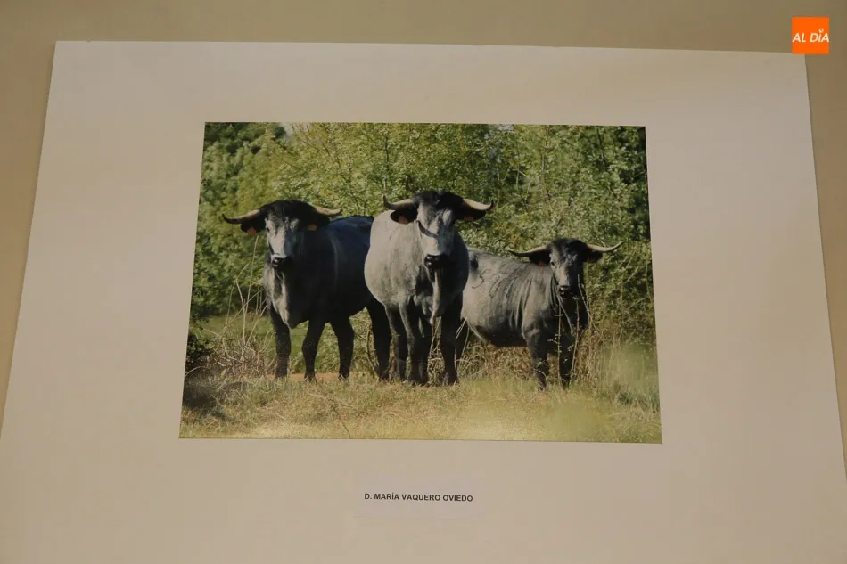 Foto 4 - El joven Carlos Silva Vaquero, ganador del Concurso de Fotograf&iacute;a de la Raza Morucha