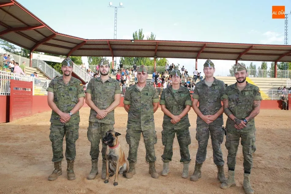 Foto 10 - Exhibici&oacute;n equina y canina a cargo del Centro Militar de Cr&iacute;a Caballar abulense