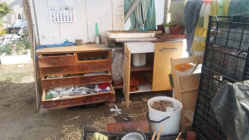 Foto 5 - Los ladrones arrasan 5 huertos familiares en Macotera y en una noche