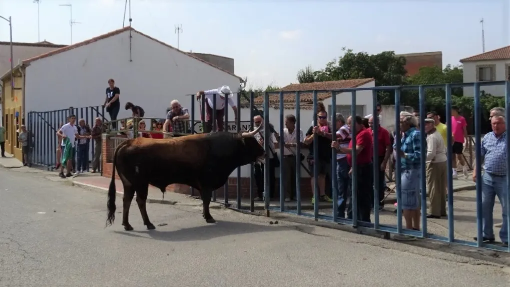 Un momento del encierro | Foto de Jorge Holguera