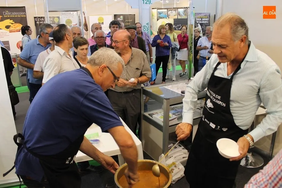 Foto 8 - Ruta de la gastronom&iacute;a de Castilla y Le&oacute;n en Salamaq