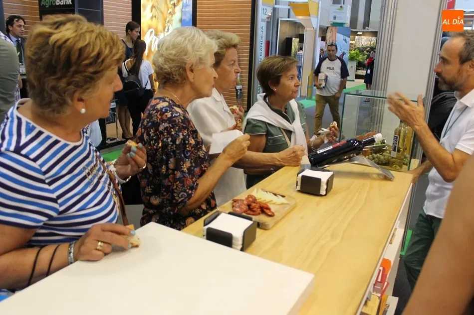 Foto 2 - Ruta de la gastronom&iacute;a de Castilla y Le&oacute;n en Salamaq