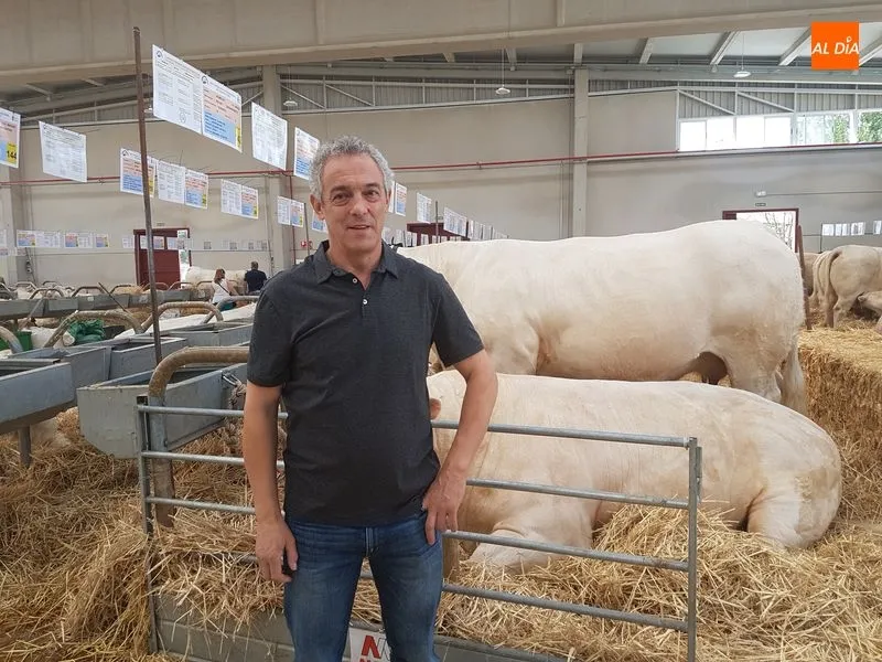 Foto 2 - &ldquo;No hay techo en el charol&eacute;s, en Francia hay toros de 1.800 kilos, una barbaridad&rdquo;
