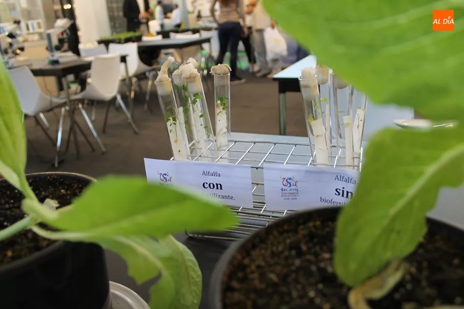 Foto 4 - Ciencia y tecnolog&iacute;a al servicio del campo