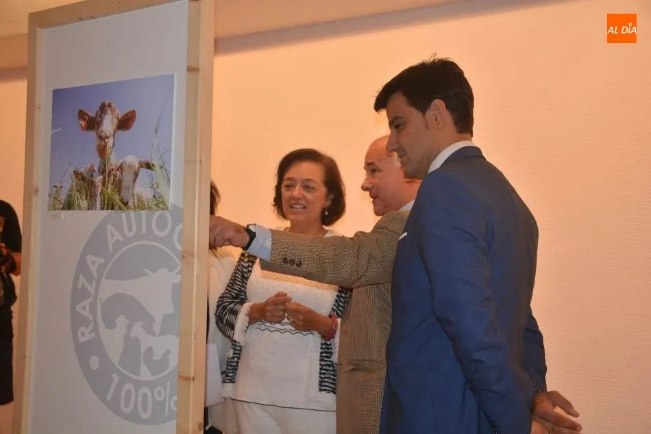 Foto 11 - La fotograf&iacute;a al servicio de la ganader&iacute;a aut&oacute;ctona espa&ntilde;ola