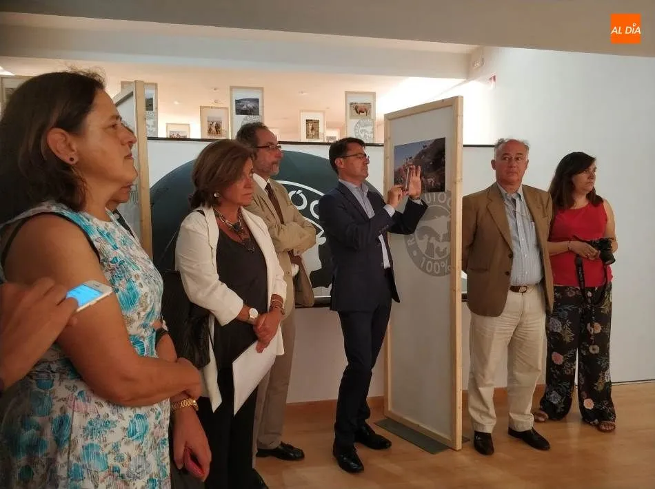 Foto 7 - La fotograf&iacute;a al servicio de la ganader&iacute;a aut&oacute;ctona espa&ntilde;ola