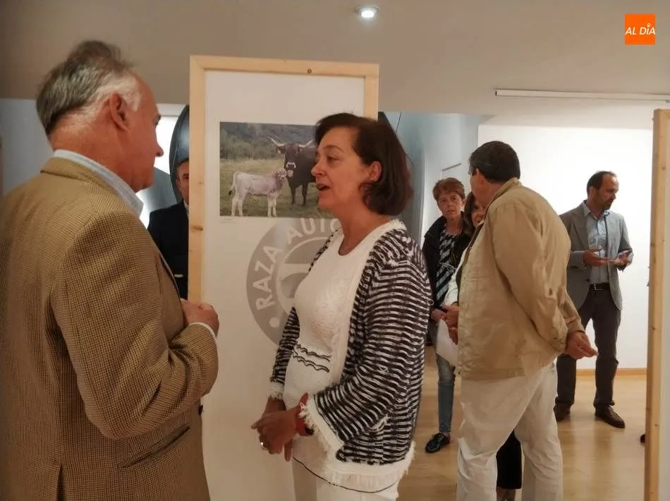 Foto 5 - La fotograf&iacute;a al servicio de la ganader&iacute;a aut&oacute;ctona espa&ntilde;ola