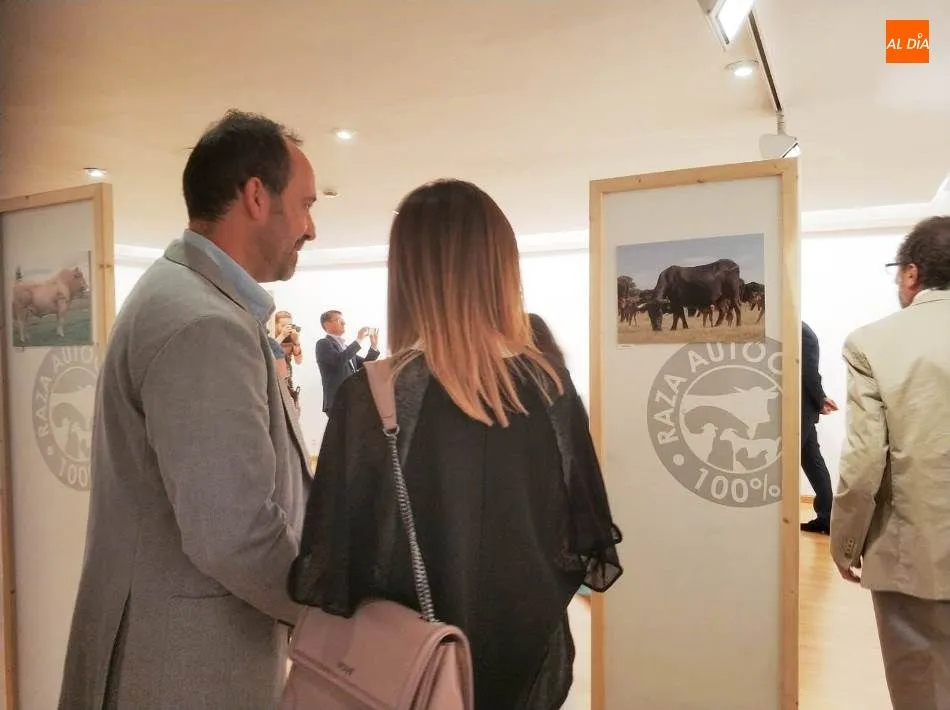 Foto 4 - La fotograf&iacute;a al servicio de la ganader&iacute;a aut&oacute;ctona espa&ntilde;ola
