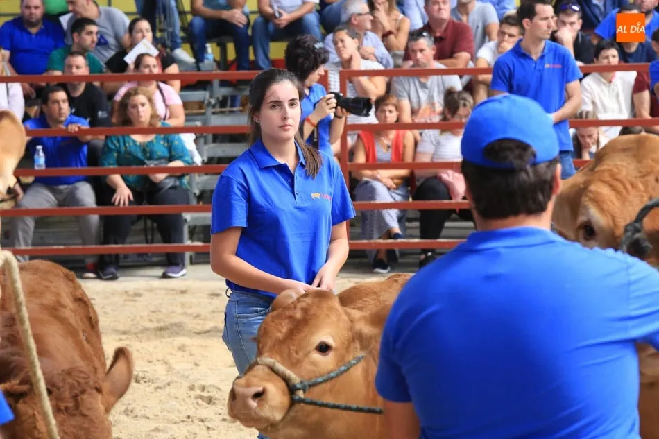 Foto 2 - Gran expectaci&oacute;n en la primera jornada de concurso de la raza limusina